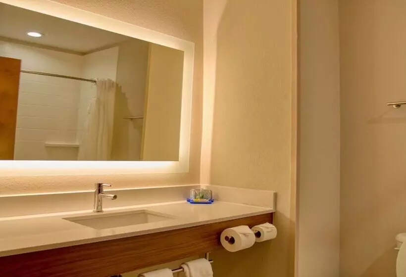 スイート, Holiday Inn Express Hotel & Suites Byram, An Ihg