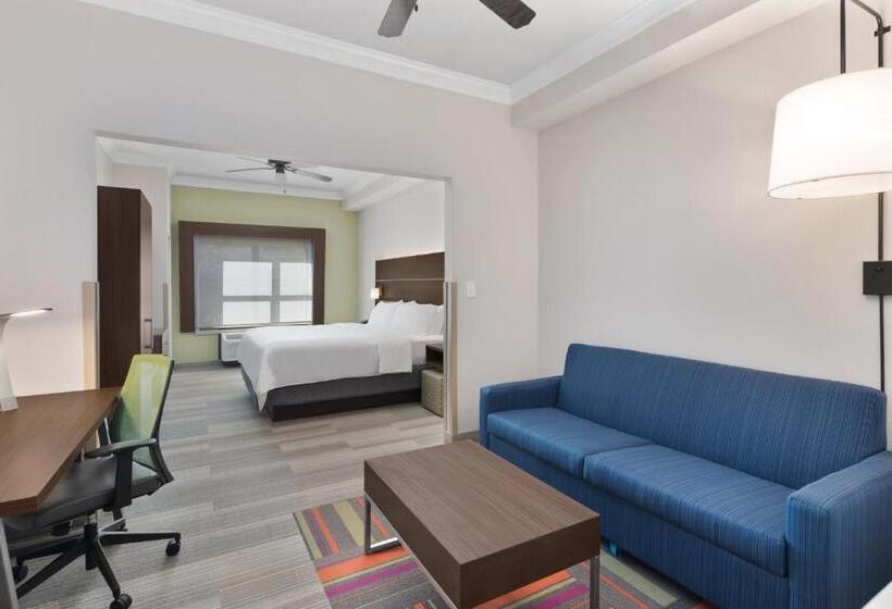 스위트 킹사이즈 침대, Holiday Inn Express Hotel & Suites Byron, An Ihg