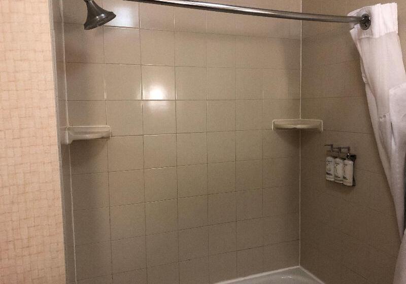 Standard Szoba King Size Bed, Holiday Inn Express Hotel & Suites Howell, An Ihg