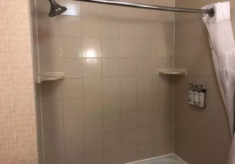 キングサイズベッドのスタンダードルーム, Holiday Inn Express Hotel & Suites Howell, An Ihg