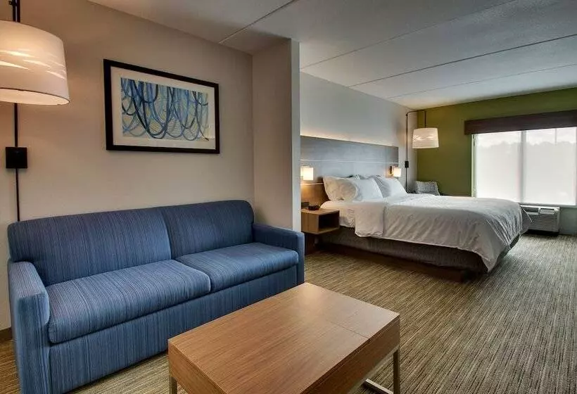 スイート, Holiday Inn Express Hotel & Suites Jacksonville North Fernandina, An Ihg
