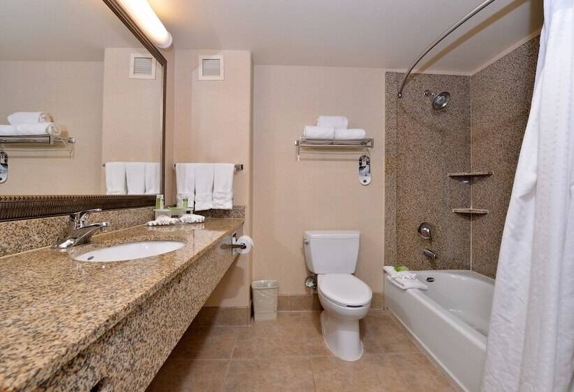 标准间, Holiday Inn Express Hotel & Suites Lincoln By Ihg