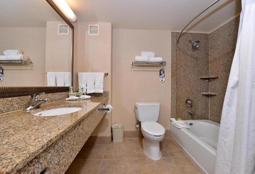 带大床的行政房间, Holiday Inn Express Hotel & Suites Lincoln By Ihg