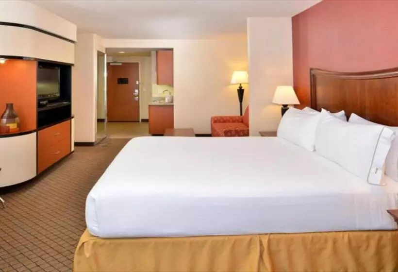 Executive-huone King-vuode, Holiday Inn Express Hotel & Suites Lincoln By Ihg