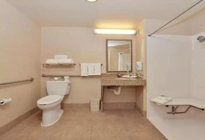 Standard-invahuone King-vuode, Holiday Inn Express Hotel & Suites Lincoln By Ihg