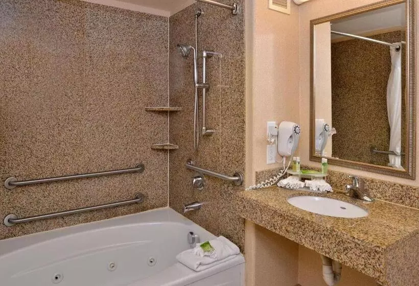 Standard-invahuone King-vuode, Holiday Inn Express Hotel & Suites Lincoln By Ihg
