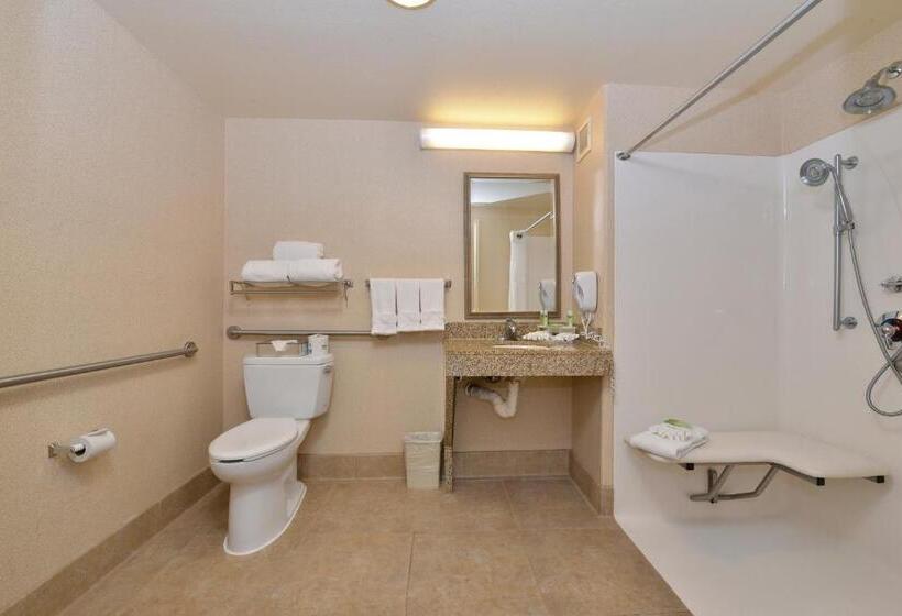 适合残疾人士使用的带超级大床的标准间, Holiday Inn Express Hotel & Suites Lincoln By Ihg