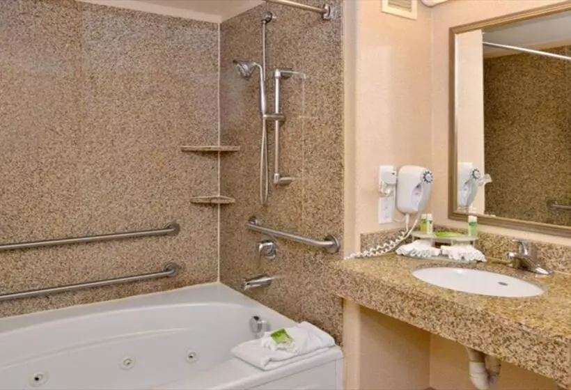 Standard-invahuone, Holiday Inn Express Hotel & Suites Lincoln By Ihg