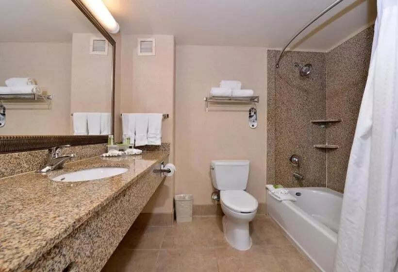 Standard-invahuone, Holiday Inn Express Hotel & Suites Lincoln By Ihg