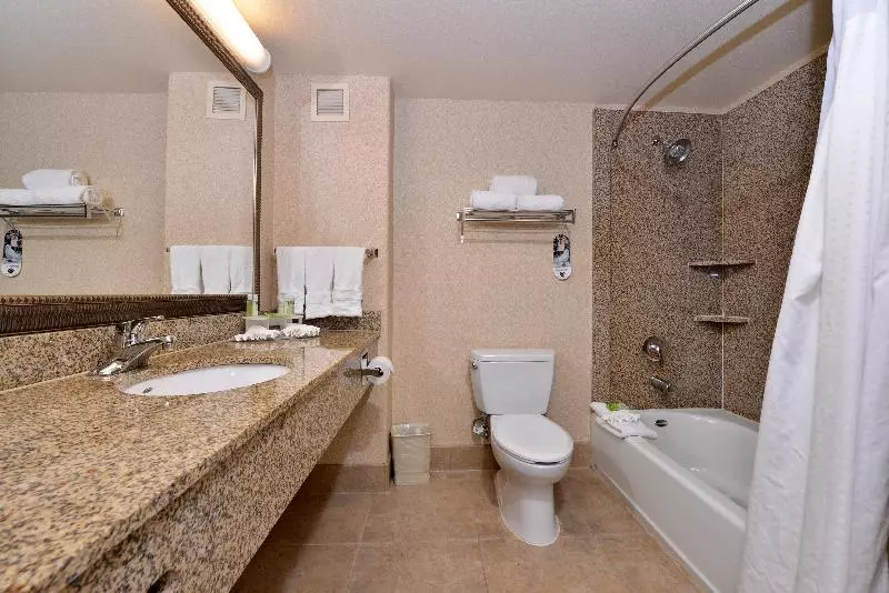 Standard-huone, Holiday Inn Express Hotel & Suites Lincoln By Ihg