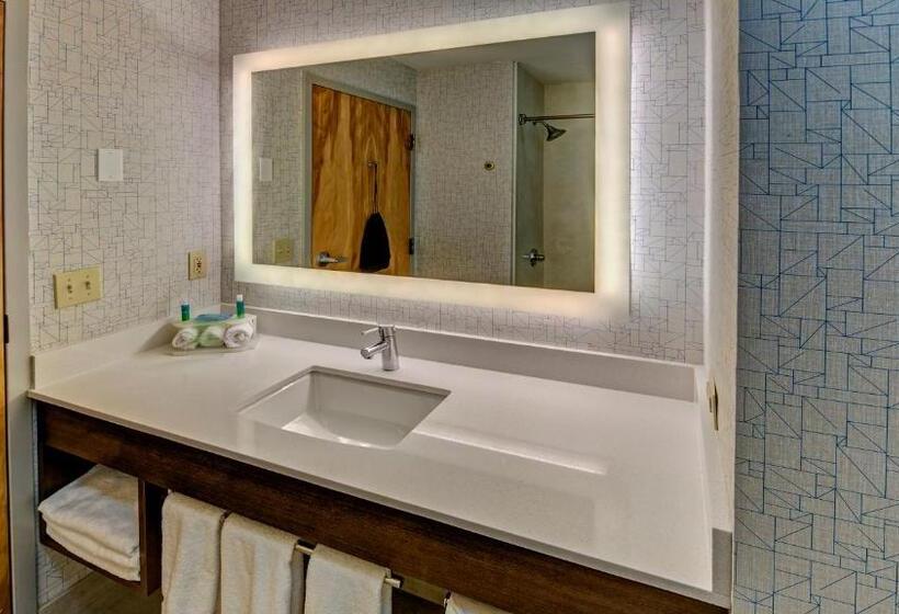 스위트 킹사이즈 침대, Holiday Inn Express Hotel & Suites London, An Ihg