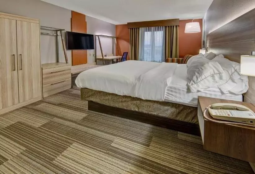 身障者適用キングサイズベッドルーム, Holiday Inn Express Hotel & Suites London, An Ihg