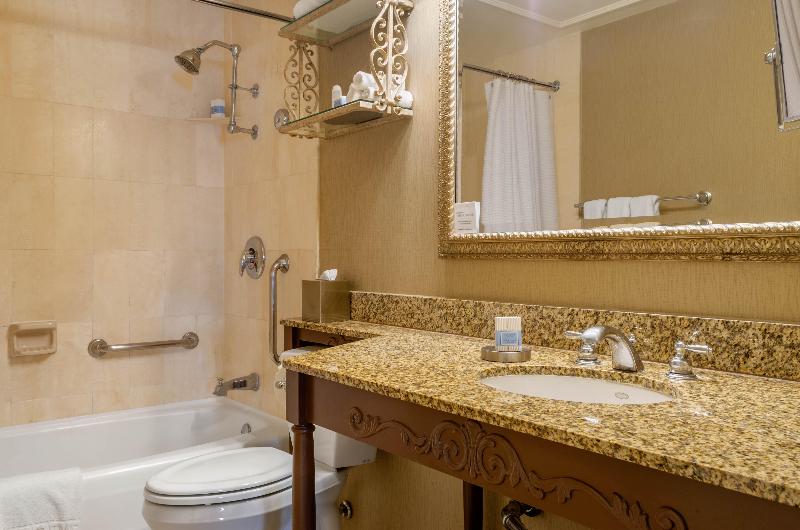 스탠다드 룸 킹사이즈 침대, Holiday Inn Express Hotel & Suites London, An Ihg