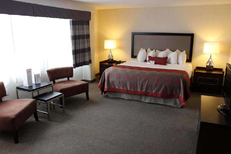 스탠다드 룸, Holiday Inn Express Hotel & Suites London, An Ihg