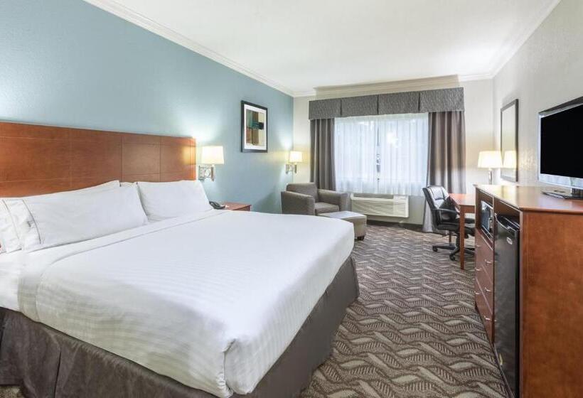اتاق استاندارد با تخت بزرگ, Holiday Inn Express Hotel And Suites Lake Charles, An Ihg