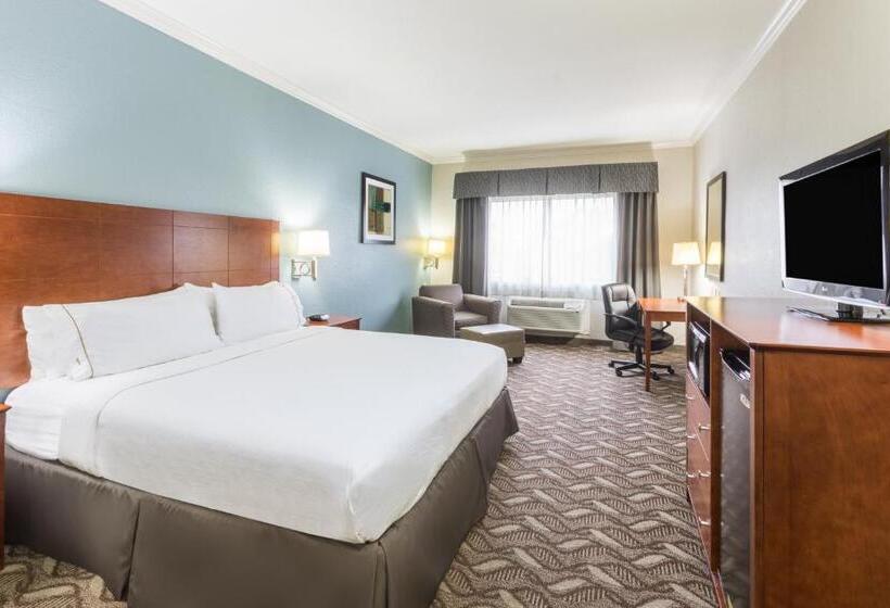 Стандартный Номер Кровать Кинг, Holiday Inn Express Hotel And Suites Lake Charles, An Ihg