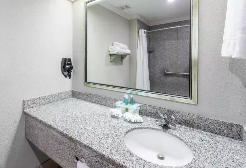 スイート, Holiday Inn Express Hotel And Suites Lake Charles, An Ihg