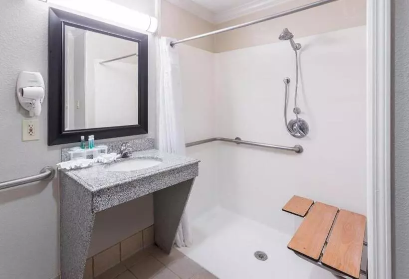 身障者適用キングサイズベッドルーム, Holiday Inn Express Hotel And Suites Lake Charles, An Ihg