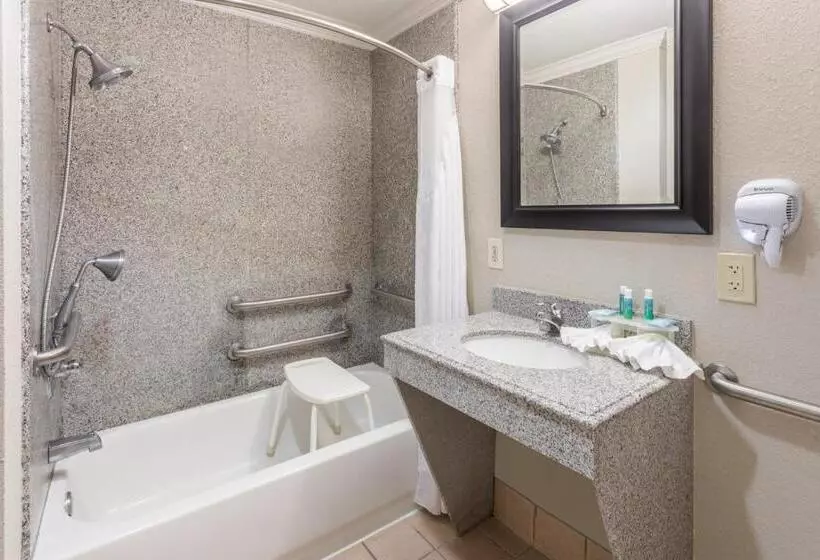 身障者適用キングサイズベッドルーム, Holiday Inn Express Hotel And Suites Lake Charles, An Ihg