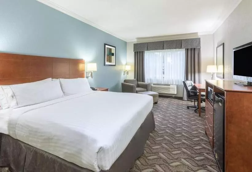 身障者適用キングサイズベッドルーム, Holiday Inn Express Hotel And Suites Lake Charles, An Ihg