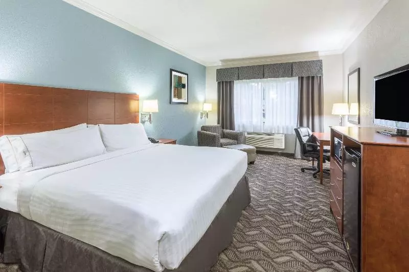 キングサイズベッドのスタンダードルーム, Holiday Inn Express Hotel And Suites Lake Charles, An Ihg