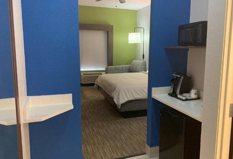 غرفة قياسية سرير كينج لذوى الإحتياجات الخاصة, Holiday Inn Express Mccomb, An Ihg