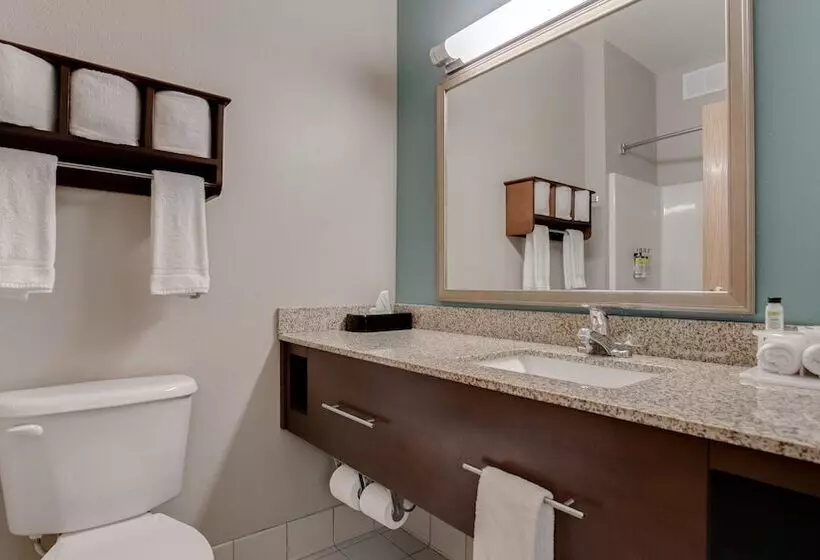 スイート, Holiday Inn Express And Suites St. Cloud, An Ihg
