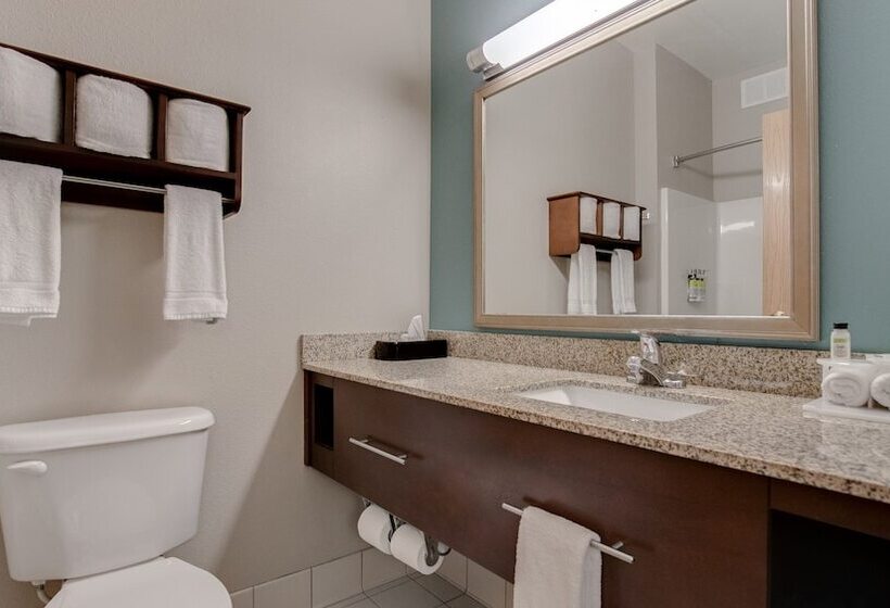 جناح لذوى الاحتياجات الخاصة, Holiday Inn Express And Suites St. Cloud, An Ihg