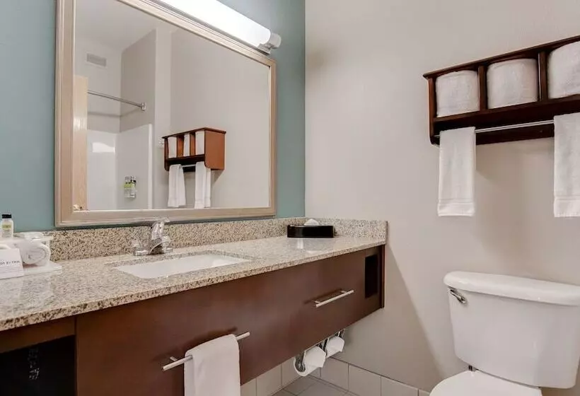 ハイドロマッサージバス付きスイート, Holiday Inn Express And Suites St. Cloud, An Ihg