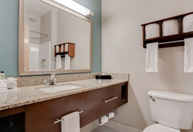 غرفة قياسية لذوى الاحتياجات الخاصة, Holiday Inn Express And Suites St. Cloud, An Ihg