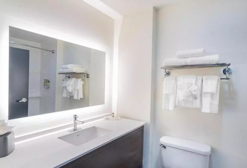 キングサイズベッドのエクゼクティブルーム, Holiday Inn Southaven Central   Memphis, An Ihg