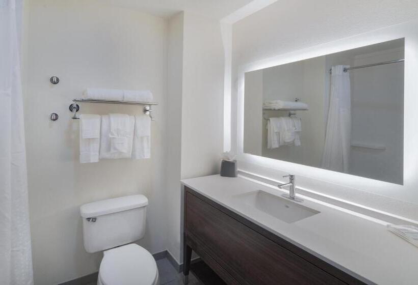 غرفة إدارية سرير كينج, Holiday Inn Southaven Central   Memphis, An Ihg