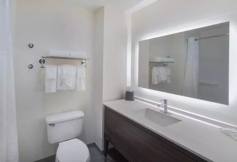 キングサイズベッドのエクゼクティブルーム, Holiday Inn Southaven Central   Memphis, An Ihg
