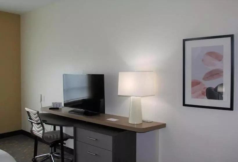 キングサイズベッドのデラックスルーム, Holiday Inn Southaven Central   Memphis, An Ihg