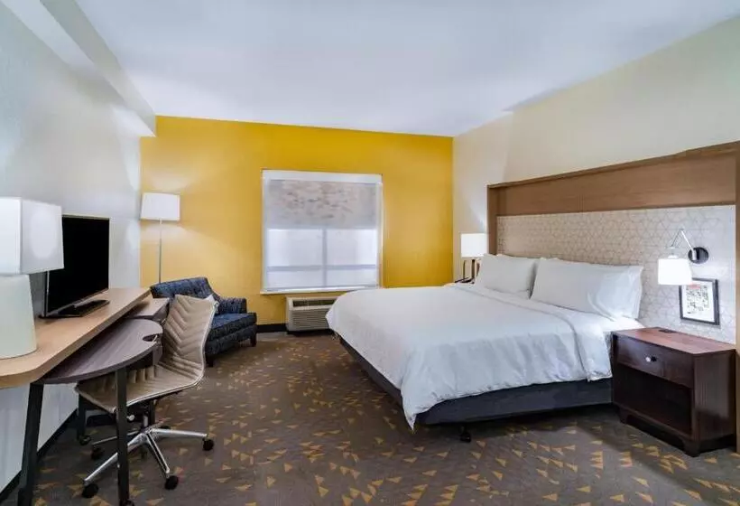 身障者適用キングサイズベッドルーム, Holiday Inn Southaven Central   Memphis, An Ihg