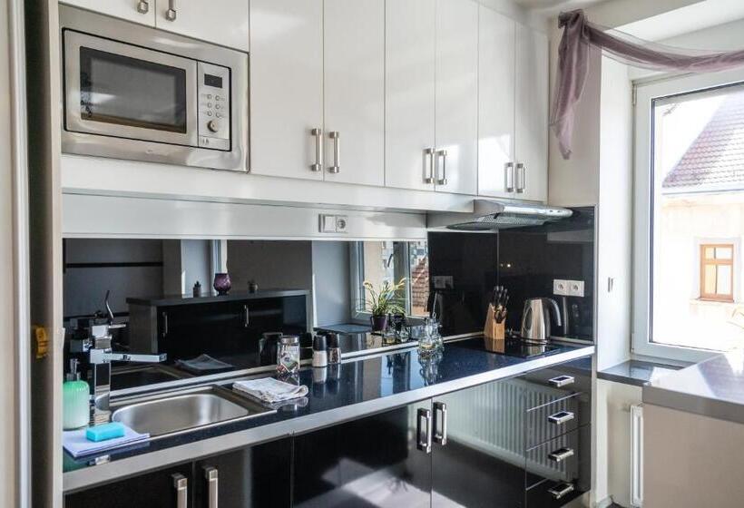 침실 1개 아파트, Plzeň