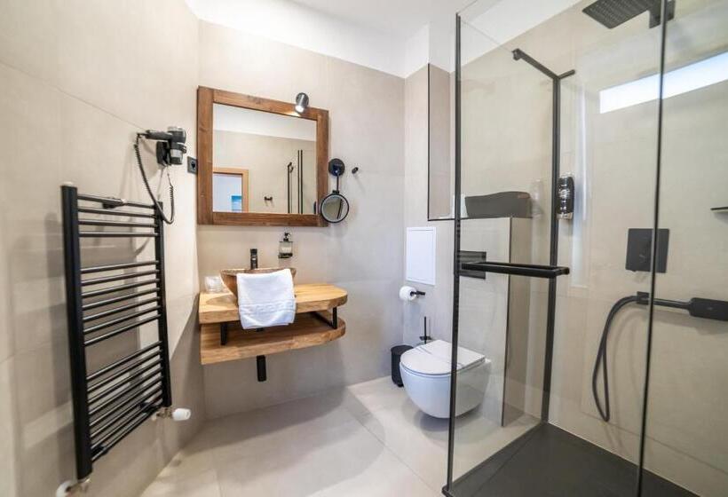 스탠다드 룸, Plzeň