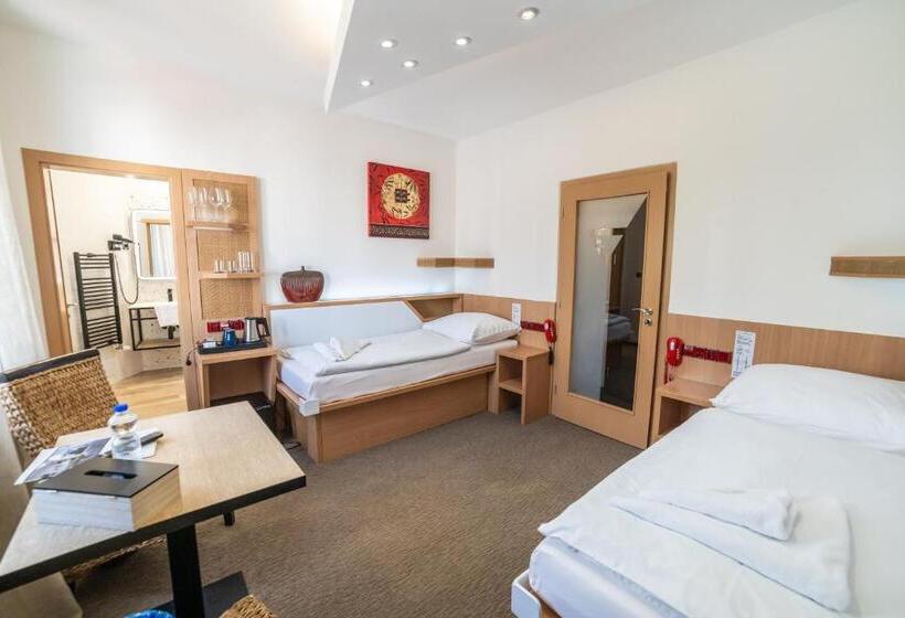 스탠다드 룸, Plzeň