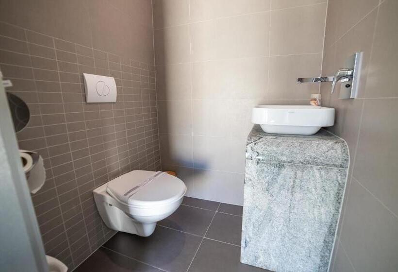 침실 1개 테라스 아파트, Plzeň