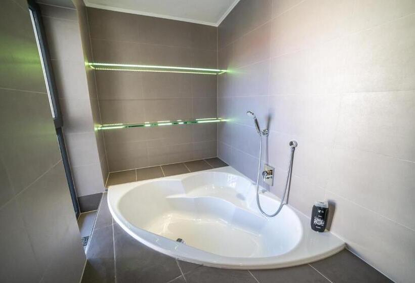 침실 1개 테라스 아파트, Plzeň