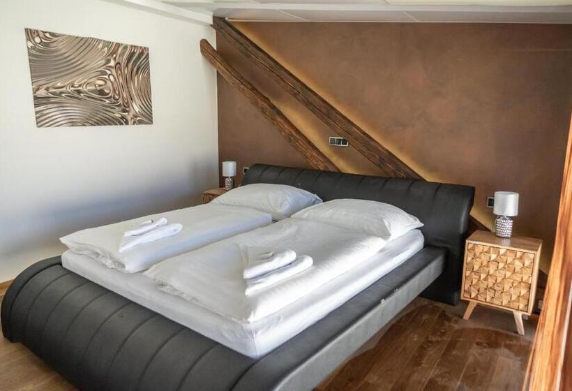 침실 1개 테라스 아파트, Plzeň