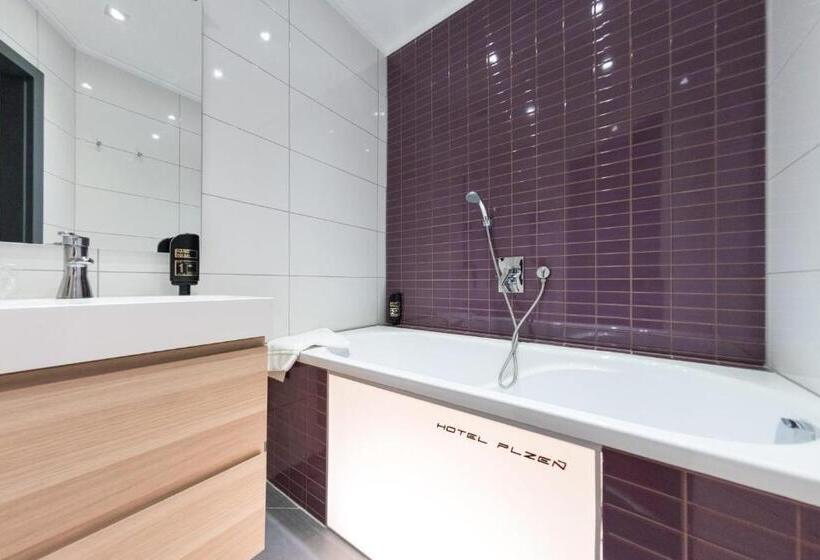 침실 1개 아파트, Plzeň