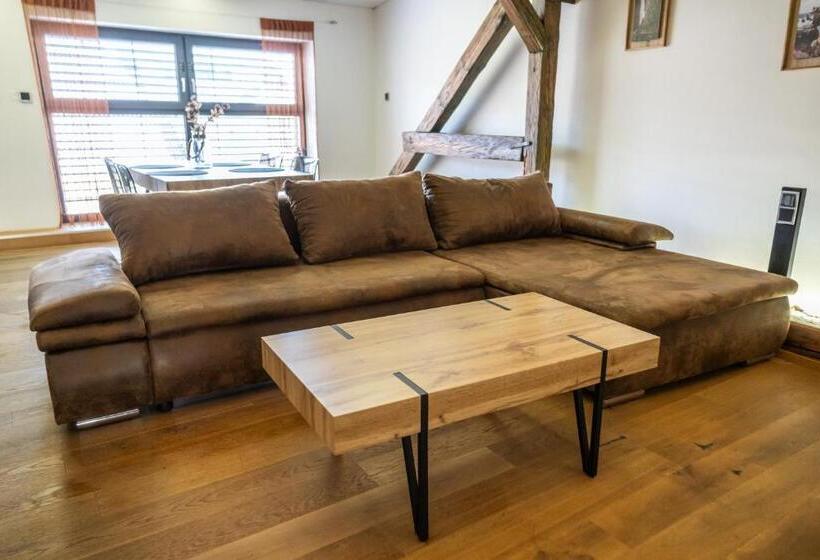 침실 1개 테라스 아파트, Plzeň