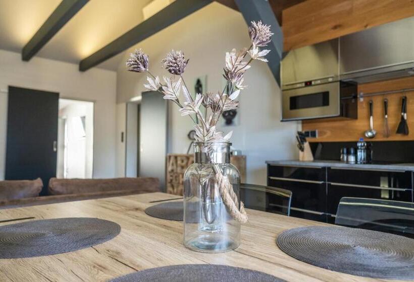 침실 1개 테라스 아파트, Plzeň