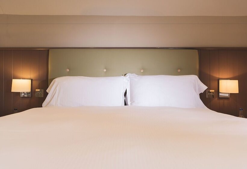 스탠다드 룸, The Wellington