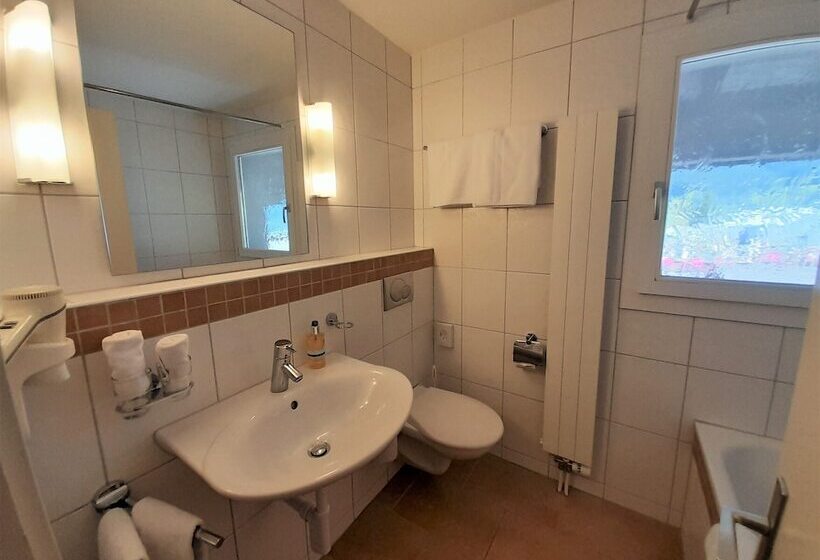 Dağ Manzaralı Standart Oda, Tschuggen