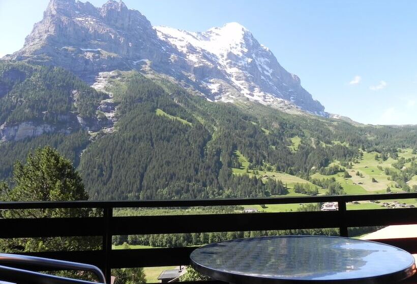 Dağ Manzaralı Standart Oda, Tschuggen