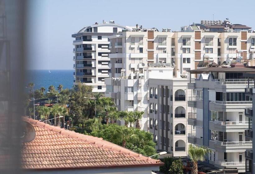 اتاق استاندارد, Far Life