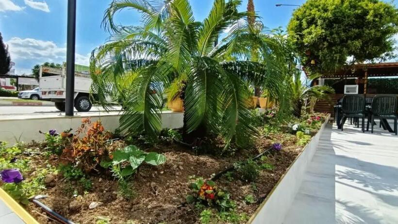 اتاق خانوادگی, Far Life