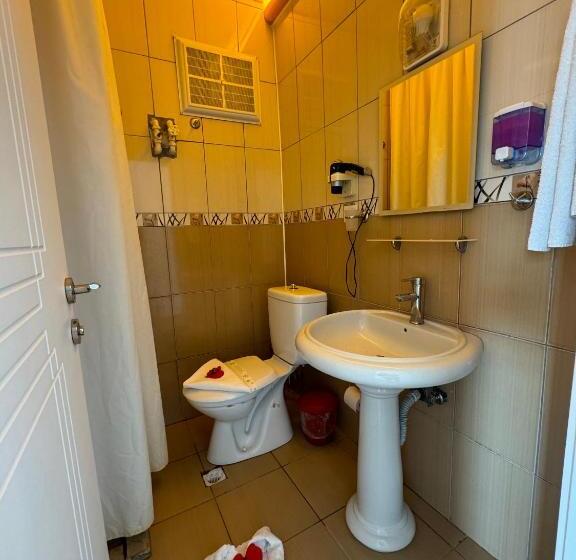 اتاق استاندارد, Far Life